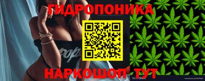 mix Заводоуковск
