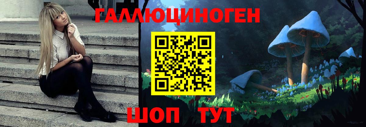 Нарткала  как найти закладки  Вход с VPN  Галлюциногенные грибы GOLDEN TEACHER 